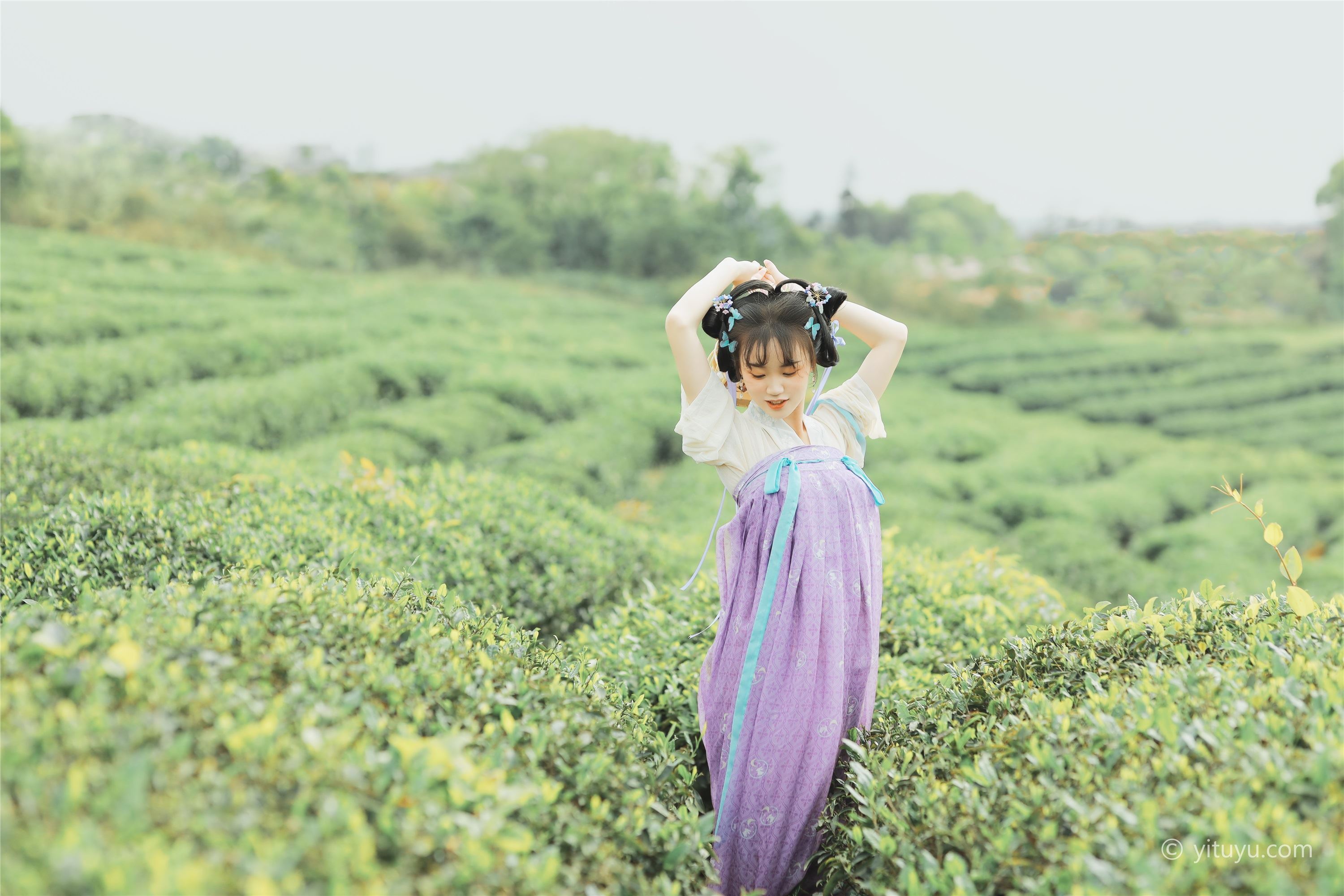 YITUYU艺图语  2021.06.02 青青白茶 柚子